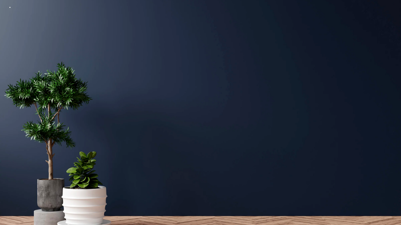 Gray Modern Designer Zoom Virtual Background 1